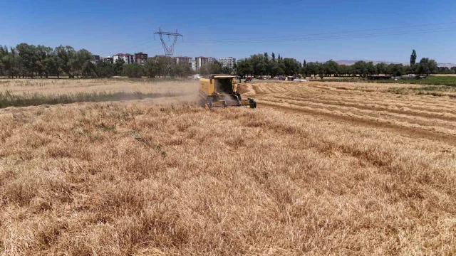 Çiftçinin yüzü gülmeye başladı