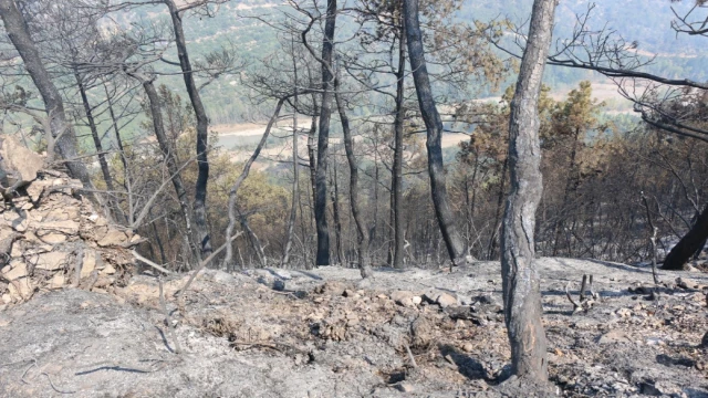 Orman yangınında 120. saate giriliyor