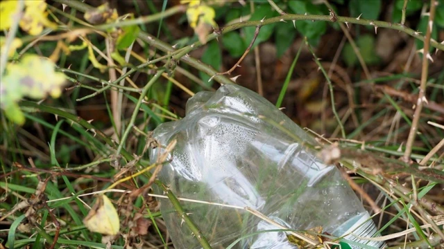 Plastik kirliliğine karşı yeni fırsatlar
