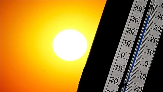 Portekiz'de aşırı sıcaklar nedeniyle 264 kişi öldü