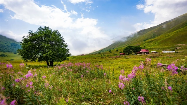 Tatilcilerin rotasını Karadeniz'e çevirdi