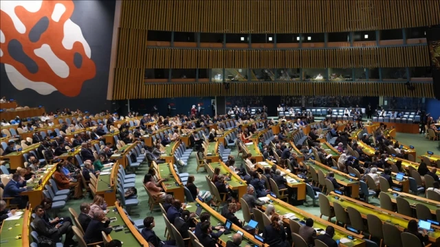 BM Zirvesi'ne Filistinliler katılım gösteremeyecek
