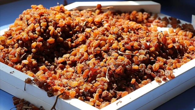 Kuru üzüm fiyatı belirlendi