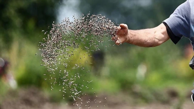 Tohumculuk sektöründe hedefimiz ilk 5'e
