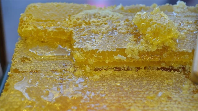 9 aylık bal ihracatı 1,7 milyon doları aştı