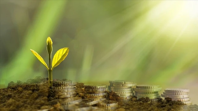 Bankaların iklim hedefleri sınırlı kaldı
