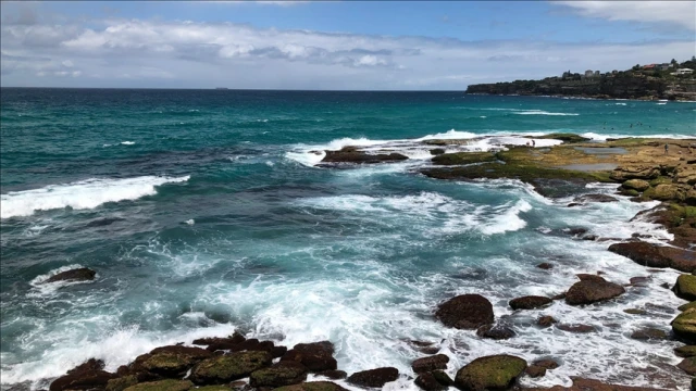 Birinci Dünya Savaşı'da iki askerin cam şişede denize bıraktığı mektuplar bulundu