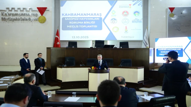 Kahramanmaraş Sahipsiz Hayvanları Koruma Birliği İlk Toplantısını Yaptı