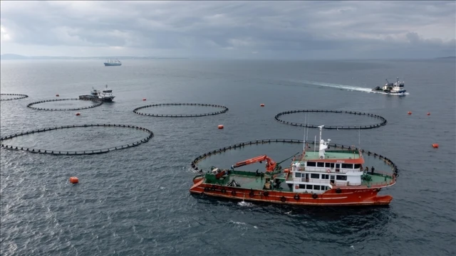Karadeniz, su ürünleri ihracatından kazançlı çıktı