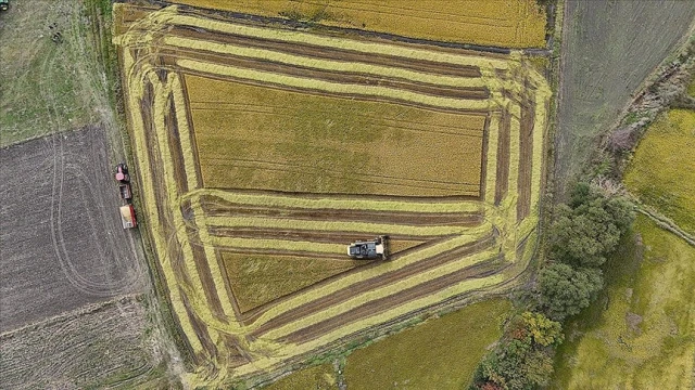 Tarımsal finansmana ilişkin limitler yeniden belirlendi