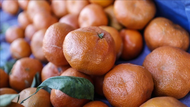 10 aylık mandalina ihracatı 375 milyon dolara yükseldi