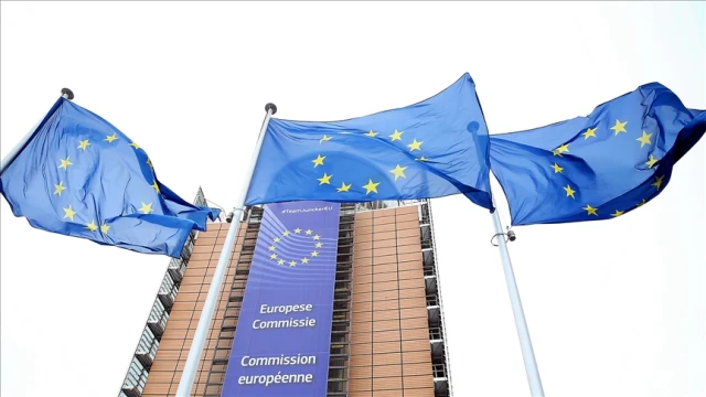 AB, üye ülkelerde demokrasileri ve sivil toplumları güçlendirmeyi hedefliyor