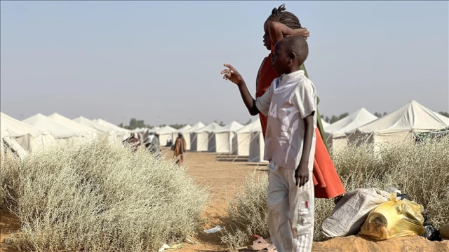 BM raportörlerinden, Sudan'ın Faşir kentindeki insan ticaretiyle ilgili "acil eylem" çağrısı