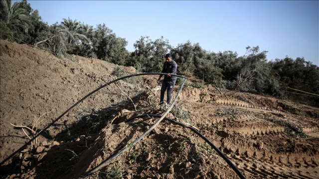 Gazze'de tarım altyapısının yüzde 89'u hasar gördü