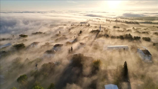 Tekirdağ sis etkili oldu 