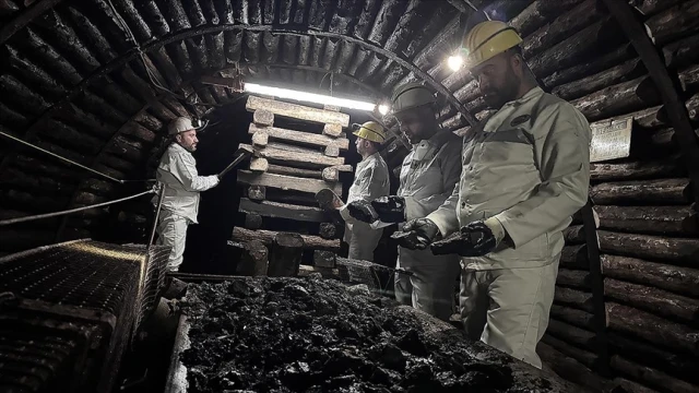 Türkiye dünyada yaklaşık 90 madenden 70'ine sahip