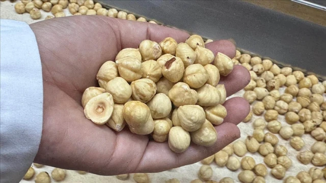 Türkiye, fındık ihracatında 351 milyon dolar gelir sağladı