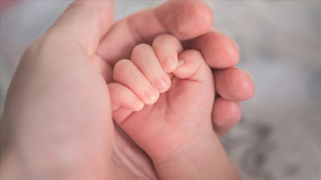 "doğum izni" tüm kadın çalışanları kapsayacak