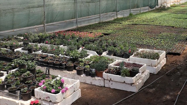 Fide sektörüne soruşturma