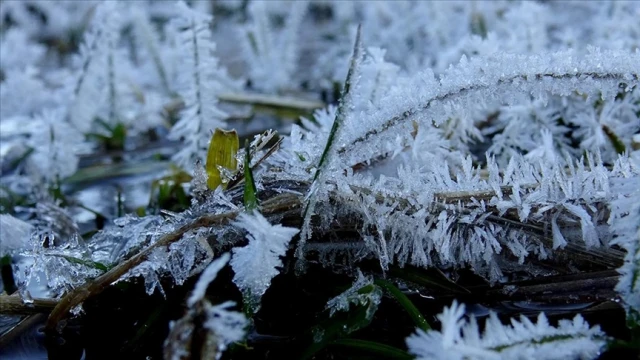 Kars'ta soğuk hava etkili oluyor
