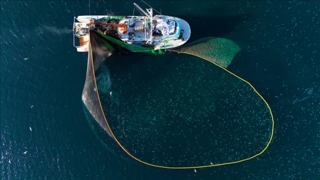 Su ürünleri sözleşmeli üretime alındı