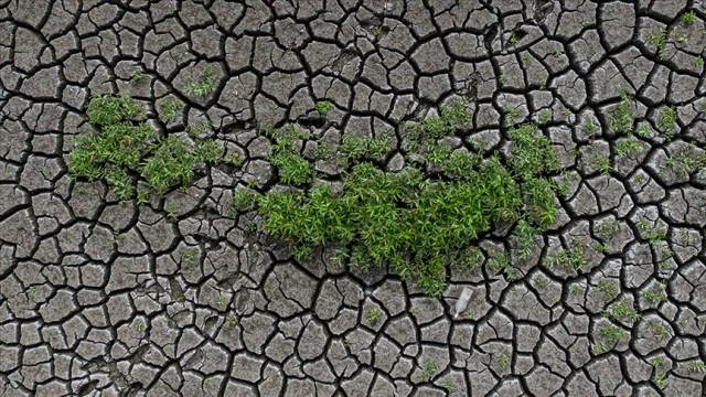 Toprak ve su kaybı, gıda ile geleceği tehdit ediyor