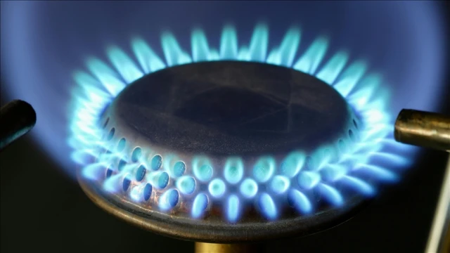 Türkiye'nin doğal gaz ihracat potansiyeli artabilir