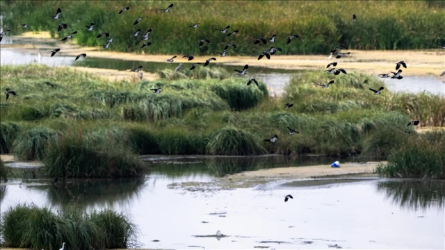 Türkiye'nin doğal sit alanı büyüklüğü 28 bin 907 kilometre