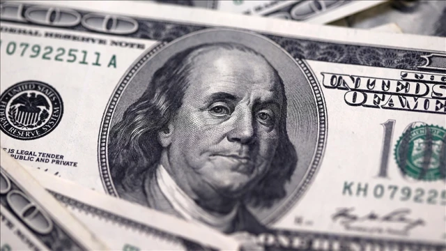 Firmaların net döviz açığı kasımda arttı