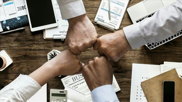 Şirket sayısı istikrarlı seyrini sürdürdü