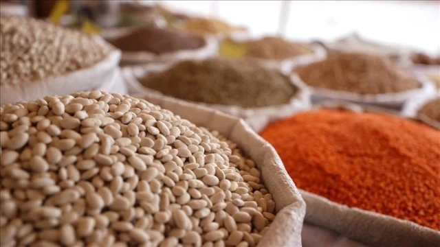 Tarım, gıda ve içecek sektöründe 24,79 milyar dolarlık ihracat