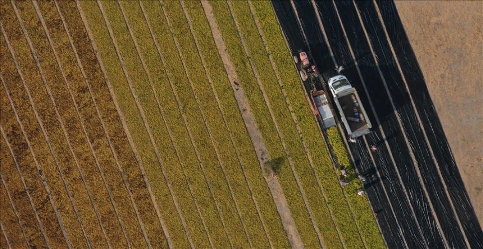 5 soruda tarıma yatırım ve işletme kredileri