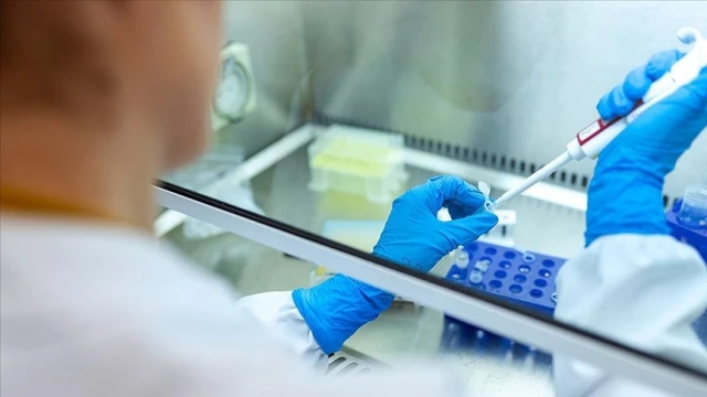 Doktora Bilim Ödülleri başvuruları başladı