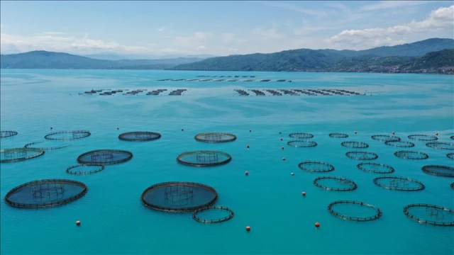 Kafes balıkçılığında 6 bin ton üretim gerçekleşti