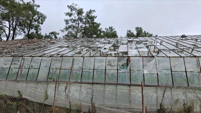 Selden etkilenen üreticilere hasar ödemesi yapılacak