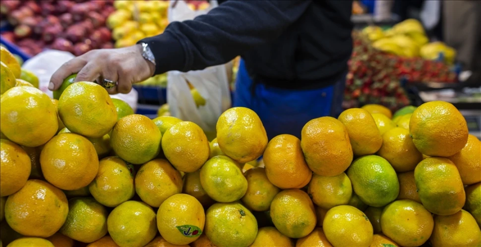 Tarım, gıda ve içecek sektöründe 2,4 milyar dolarlık ihracat