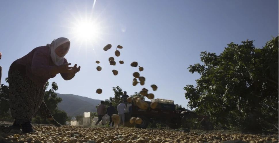 Aşırı sıcaklar 1 milyardan fazla kişinin geçim kaynağını tehdit ediyor