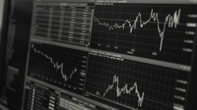 Fon yatırımlarının değeri arttı