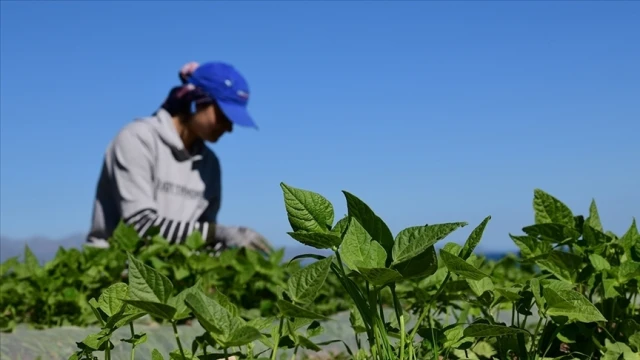 Gıda ve çevre konulu projelere destek