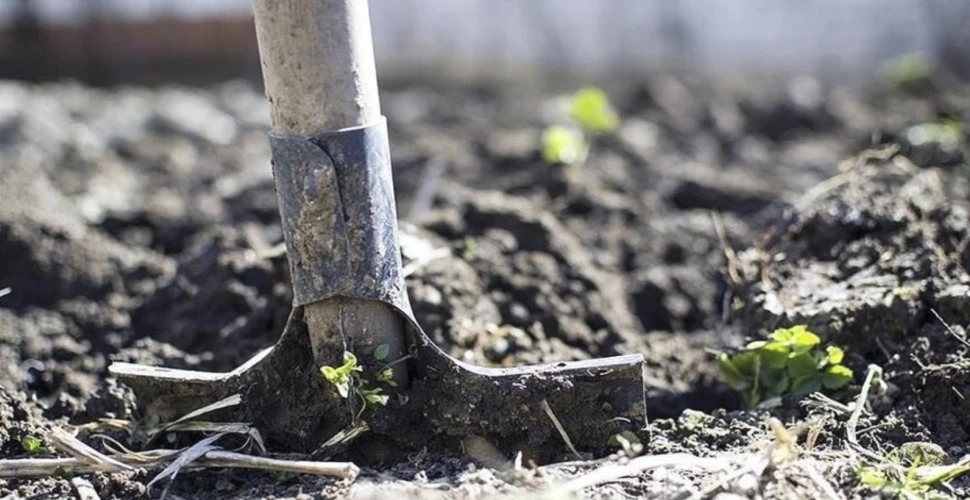 Gübrede gümrük vergisi sıfırlandı