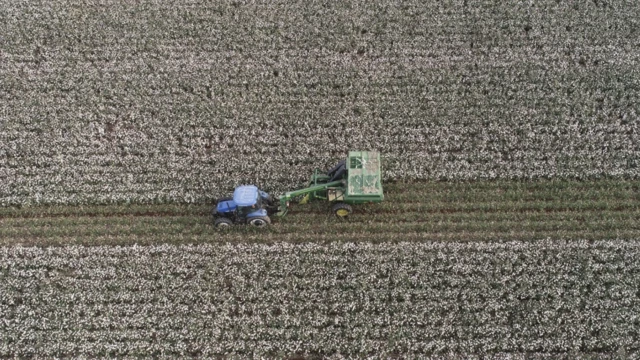 Hürmüz Boğazı'ndaki aksamalar çiftçileri zora sokuyor