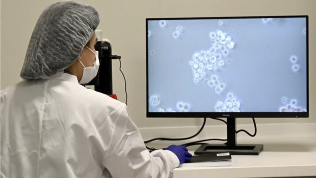 Kan kanseri hastaları için "hücre" tedavisi dönemi başladı