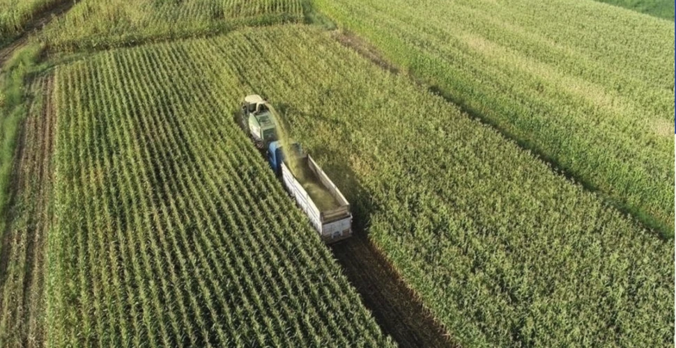 Tarım arazilerinin korunması ve kullanılmasına ilişkin düzenleme