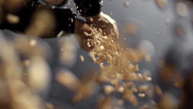 Türkiye'nin tohum üretimi yüzde 50,7 arttı