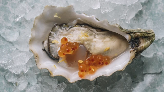 İstanbul'da Deniz Altı Atmosferi Gastronomiyle Buluşuyor