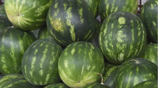 Mayısta en çok karpuz ve domates tüketildi