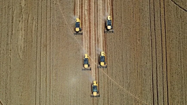Tarım aylık bazda yüzde 9,02 azaldı