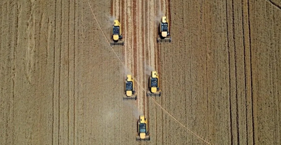 Tarım aylık bazda yüzde 9,02 azaldı
