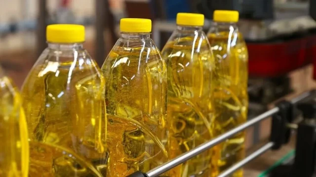 Türkiye'nin ayçiçeği yağı ihracatı arttı
