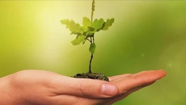 Eğitim yapılarında "yeşil dönüşüm" dönemi başlıyor